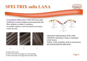 sfeltrix1